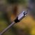 Splunk Flaw Allows Code Execution Without Credentials
